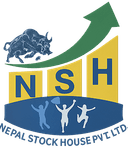 NSH Logo